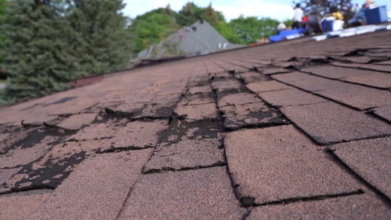 Cold Roofs in Pandora, OH